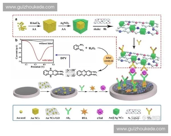 基于生物传感器的智能检测技术及其在医学领域中的应用研究