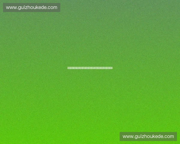 以体育高吞吐为引擎推动赛事数据处理与智能服务创新发展体系升级