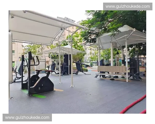 打造全新体育互动体验平台连接爱好者与赛事的智能社区